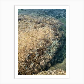 Rocky shore and clear sea water Art Print