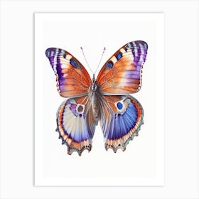 Gatekeeper Butterfly Decoupage 3 Art Print