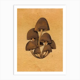 Beech Mushrooms Nature Art Print