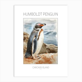 Humboldt Penguin Carcass Island Watercolour Painting 3 Poster Art Print