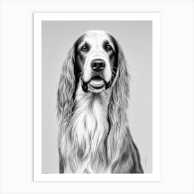 Irish Setter B&W Pencil Dog Art Print