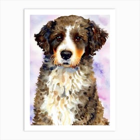 Spanish Water Dog 3 Watercolour Dog Art Print