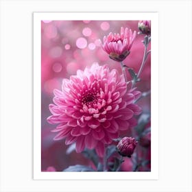 Pink Chrysanthemums Art Print