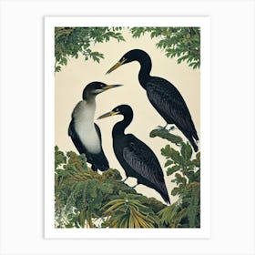 Cormorant Haeckel Style Vintage Illustration Bird Art Print