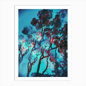 Blue Trees Double Exposure Art Print