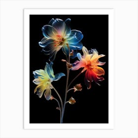 Flowers On A Black Background Art Print