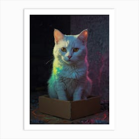 Cat In A Box 5 Art Print