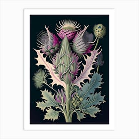 Thistle Wildflower Vintage Botanical 1 Art Print