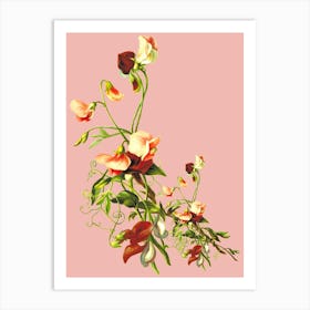 Sweet Peas Art Print