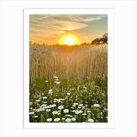 Sunset In A Wheat Field Art Print