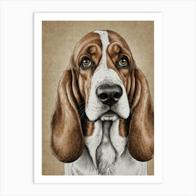 Basset Hound 3 Art Print