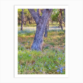 Rottnest Meadow Art Print