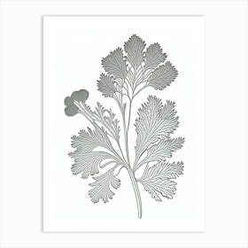 Parsley Herb William Morris Inspired Line Drawing 2 Art Print