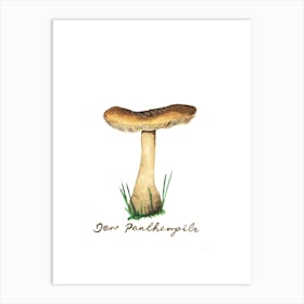 Der Pantherpilz Art Print