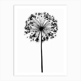 White black allium Art Print