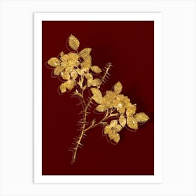 Vintage Spiny Leaved Rose of Dematra Botanical in Gold on Red n.0380 Art Print