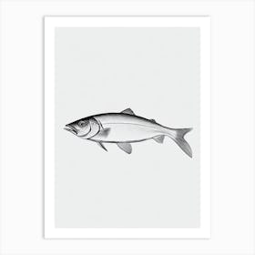 Herring Black & White Drawing Art Print