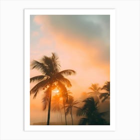 Sunset Over Palm Trees Art Print