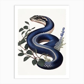 Texas Indigo Snake 1 Vintage Art Print