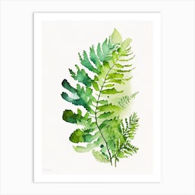 Maidenhair Fern Watercolour Art Print