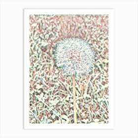 Dandelion Art Print