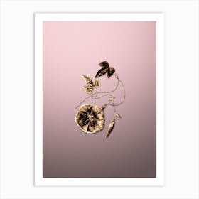 Gold Botanical Male Jalap Flower on Rose Quartz n.0179 Art Print