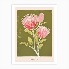 Pink & Green Protea 2 Flower Poster Art Print