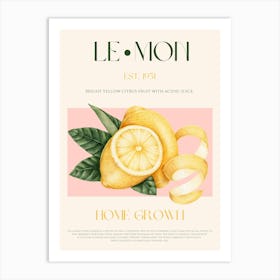 Lemon Fruit Mid Century Art Print