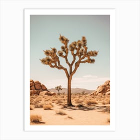  Photograph Of A Joshua Tree In Rocky Mountains 3 Art Print