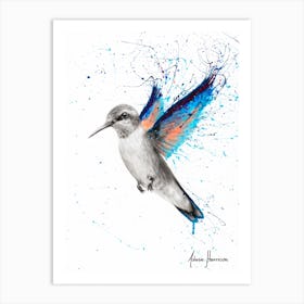 Azul Hummingbird Art Print