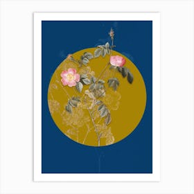 Vintage Botanical Pink Austrian Copper Rose on Circle Yellow on Blue n.0044 Art Print