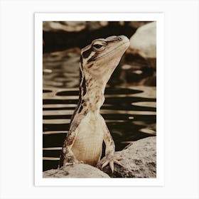 Lizard 7 Art Print