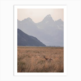 Antelope On Range Art Print