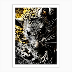 Rat In The Dirt Art Print