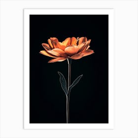 Flower On A Black Background 6 Art Print