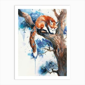 Red Fox In The Tree Art Print