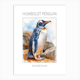 Humboldt Penguin Bleaker Island Watercolour Painting 4 Poster Art Print