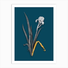 Vintage Crimean Iris Black and White Gold Leaf Floral Art on Teal Blue n.0945 Art Print