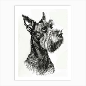 Miniature Schnauzer Dog Black & White Line Sketch 2 Art Print