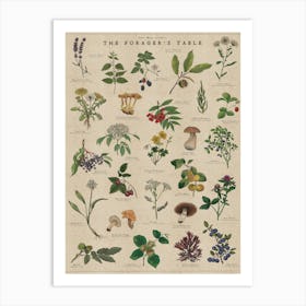 Forager's Table Artwork - Foraging Wild Food Art Print Art Print