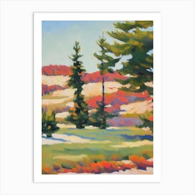 Pine Tree Watercolour 1 Art Print