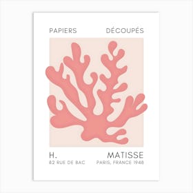 Henri Matisse 11 Art Print