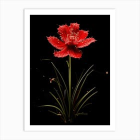 Red Flower On Black Background Art Print