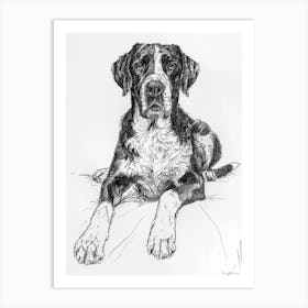 Greater Swiss Mountain Dog Line Sketch 1 Art Print