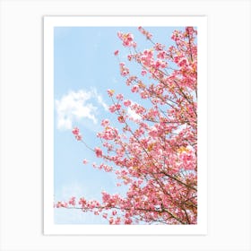 Bright Pink Blossom Art Print