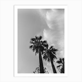 Palms And Clouds Art Print