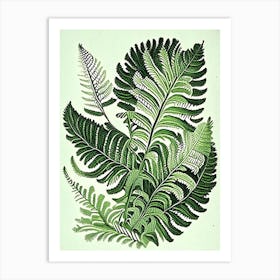 Lady Fern Vintage 3 Botanical Poster Art Print