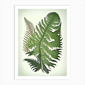 Sensitive Fern Vintage Botanical Poster Art Print