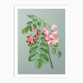 Vintage Robinier Rose Bloom Botanical Art on Mint Green n.0989 Art Print