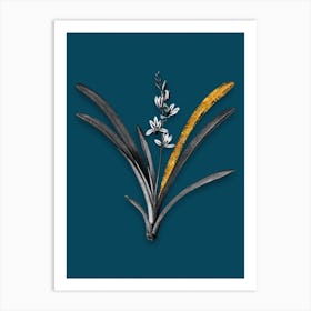 Vintage Boat Orchid Black and White Gold Leaf Floral Art on Teal Blue n.0170 Art Print